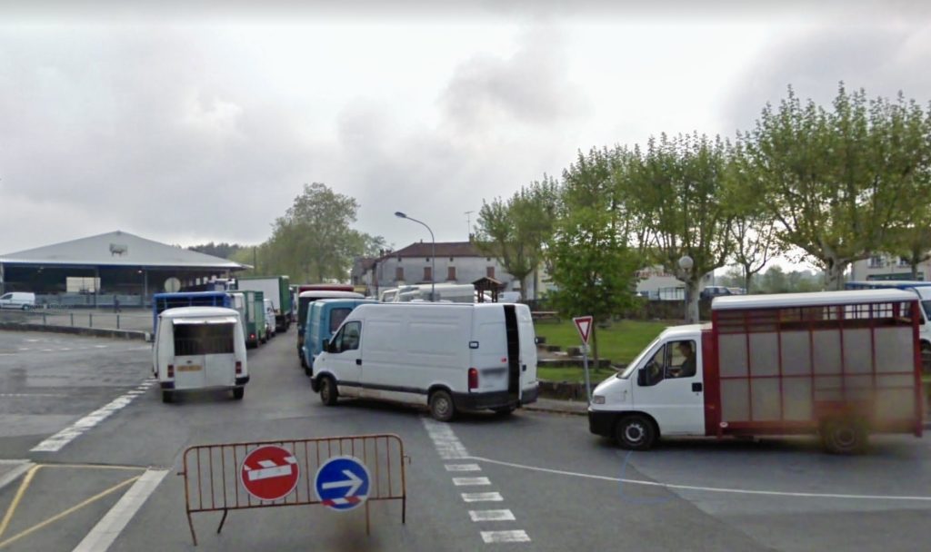Marché aux veaux